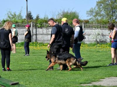 professional-dog-galeria-komorowice-10