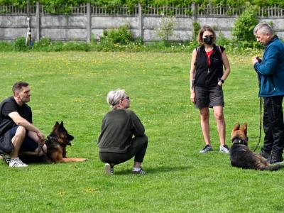 professional-dog-galeria-komorowice-164