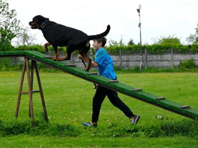 professional-dog-galeria-komorowice-191